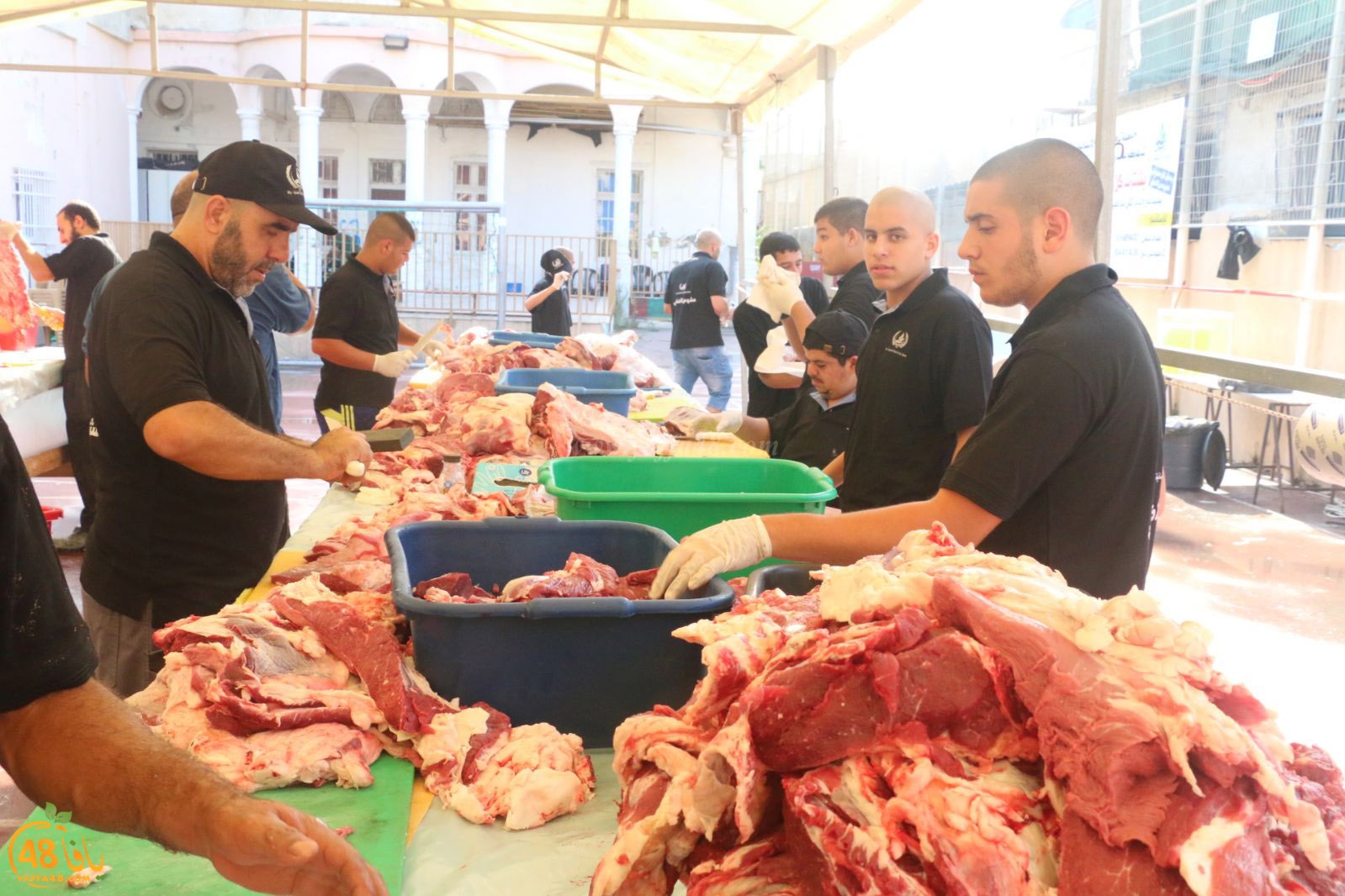 lo7om jam3iya u3 (37).jpg